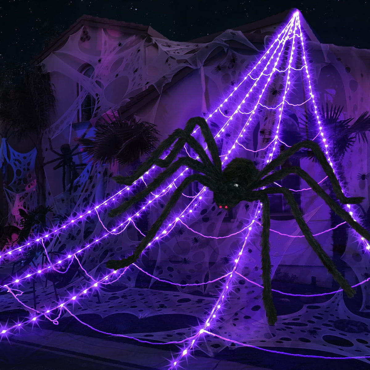 Grande araignée noire aux yeux rouges sur une toile lumineuse violette devant une maison.